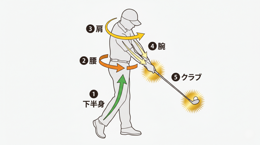 ゴルフスイングのエネルギー伝達(運動連鎖)を示す下半身から腕・クラブへの図解