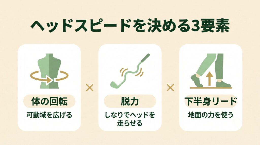 ヘッドスピードを決める3要素(回転・脱力・下半身リード)の図解